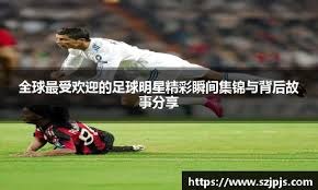 [中超]上海申花客场不敌柔佛新山