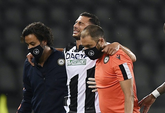 而哈顿这次 而哈顿这次