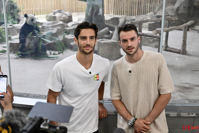 曼联被视为 曼联被视为